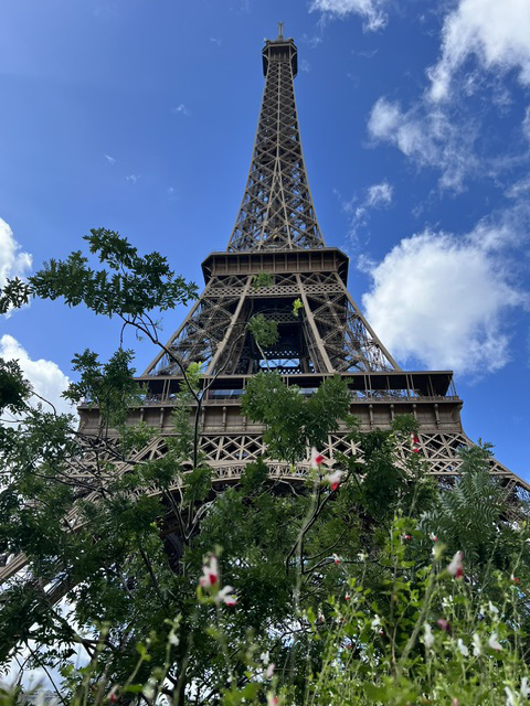 全景